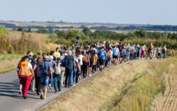 PIESZA PIELGRZYMKA DO&nbsp;DĄBRÓWEK