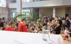 Niedziela Palmowa (29.03.2026)