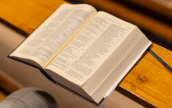 IV edycja Spotkań z&nbsp;Biblią – ZAPOWIEDŹ